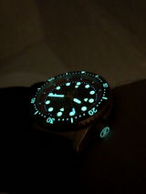 Blagoj Bogdanov review photo