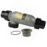 Forrest J. review photo