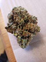 Octavio O. review photo