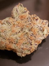 Octavio O. review photo