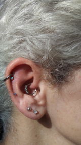 Terrie Fitch review photo