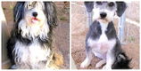 Stacy Kloc review photo