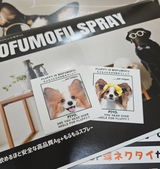 匿名 review photo