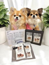 匿名 review photo