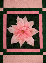 Teri Cumpton review photo