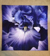 16038480691 Kim Gregoire review photo
