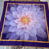 Mary Anne Bregar review photo