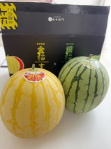 愛 水原 review photo