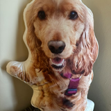 Emersyn Gilbert review photo