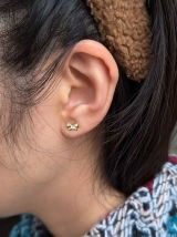 Bidiz review photo