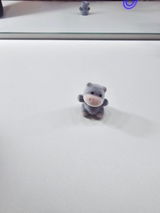 s.c. review photo