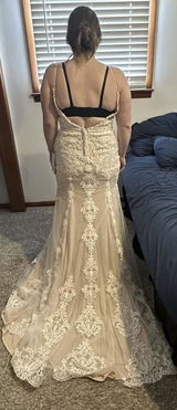 Brittani Fox review photo