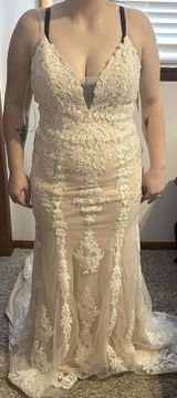 Brittani Fox review photo