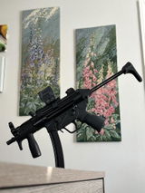 Sean P. review photo