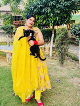 Snehil Vihan review photo