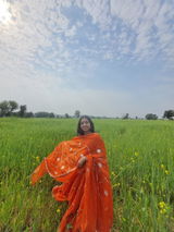 Renuka Singh review photo