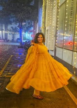Niranjana Iyer review photo