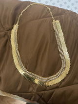 Sonal review photo