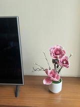 Malini Jain review photo