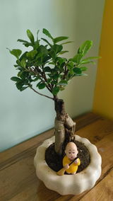 Kusum . review photo