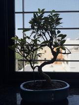 Ankit Chavan review photo