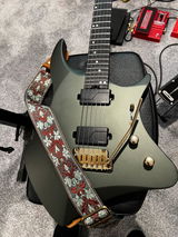 Tony Lucchesi review photo