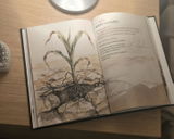 Jaine Harding review photo