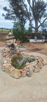 Wendy Morphett review photo