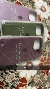 Areesha review photo