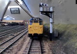 Stuart W. review photo