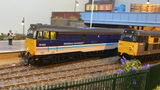 Mark D. review photo