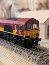 First N.S. review photo
