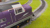 NEWLY T.P. review photo