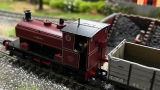 Shane H. review photo
