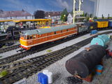 Steve S. review photo