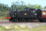 Paul A. review photo