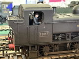 Dave B. review photo
