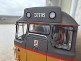 Steve P. review photo