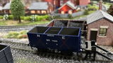 Shane H. review photo