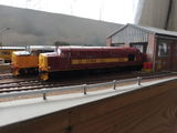 Tony W. review photo