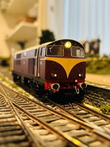 Patrick D. review photo