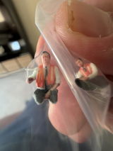 Steve P. review photo