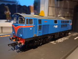 Colin S. review photo