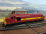 Trevor P. review photo