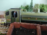 john g. review photo