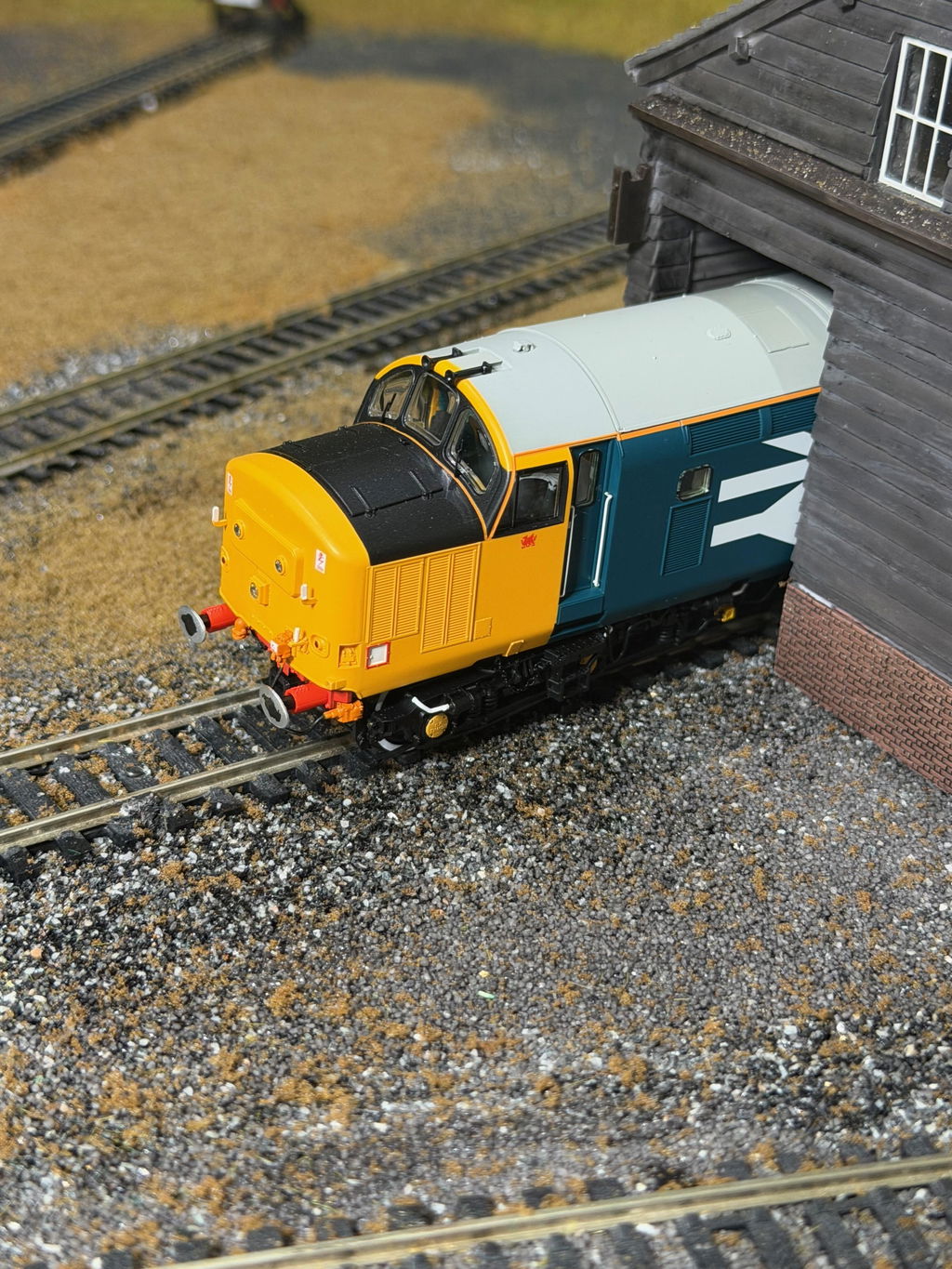 Class 37 - Large Logo Blue - 37429 - DCC Sound Fitted