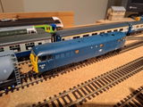 Alexander F. review photo