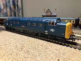 Alexander F. review photo