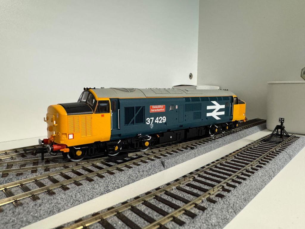 Class 37 - Large Logo Blue - 37429