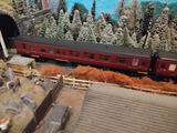 Alexander C. review photo